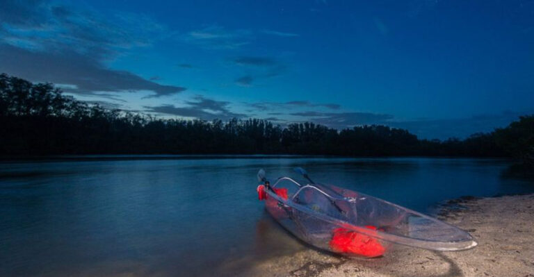 There’s A Magical Florida Lagoon That Mysteriously Glows Electric Blue After Dark