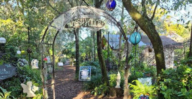 This Enchanted Forest Market in Plant City Feels Like You Stepped Into a Fairy Tale