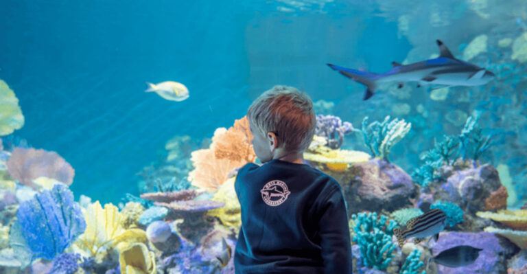 This Florida Aquarium Lets You Get Shockingly Close to Sharks, Sea Turtles, and More