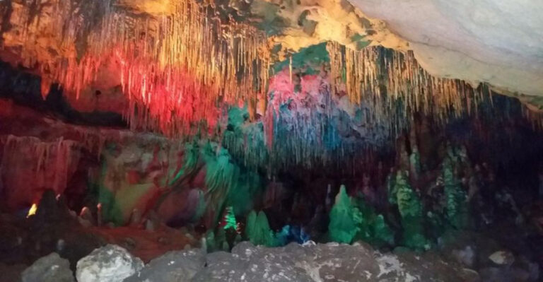 This Florida Attraction Is One of the State’s Best-Kept Secrets