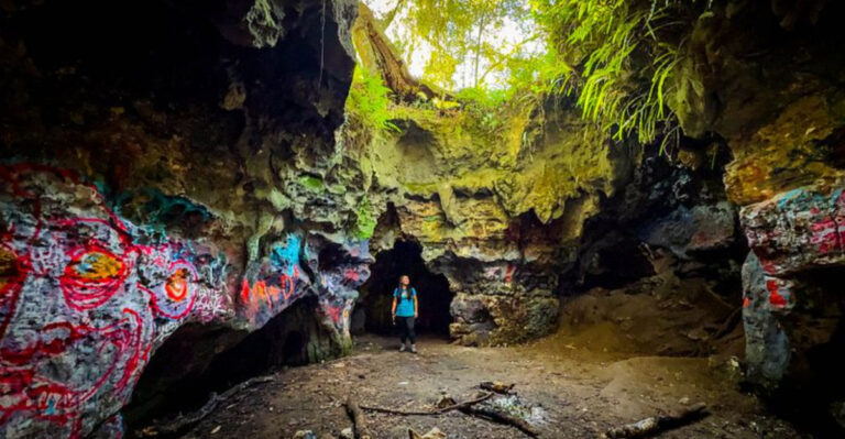 This Florida Cave Trail Promises a Thrilling Hike With Jaw-Dropping Views