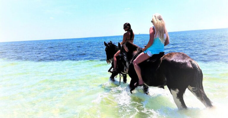 This Florida Farm Offers a Unique Hands-On Horse Experience in the Water