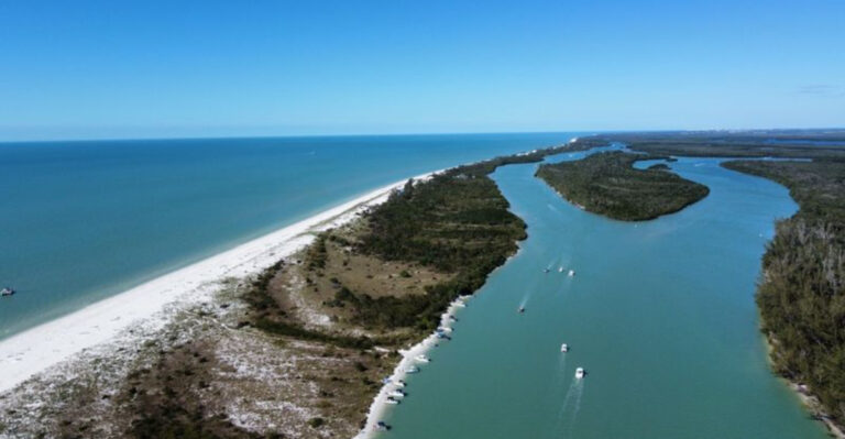 This Florida Island Has No Roads, No Bridges—Just Dolphins and a Floating Taco Boat