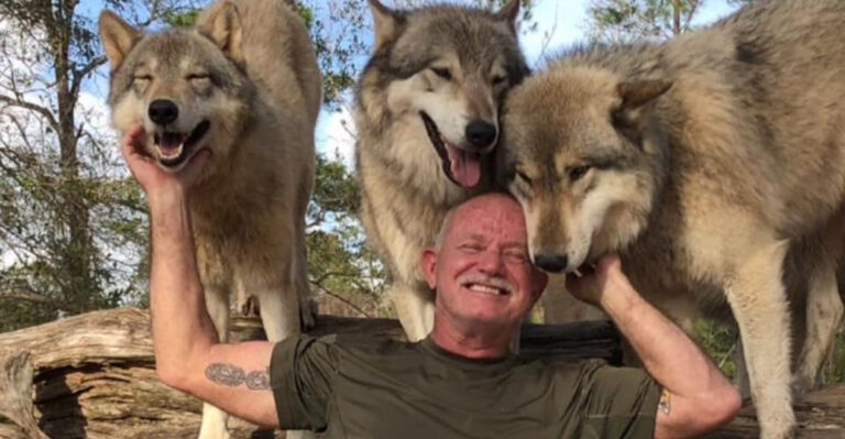 This Florida Preserve Offers A Face-To-Face Wolf Pack Encounter You’ll Never Forget