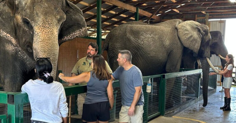 This Florida Ranch Lets You Meet Elephants Up Close (And It’s Surreal)