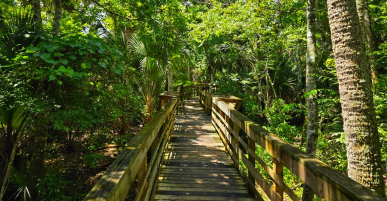 This Florida State Park Has an 800-Foot Boardwalk to a Hidden Cypress Forest