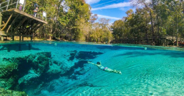This Florida State Park Offers A Spring Swimming Experience That Feels Otherworldly