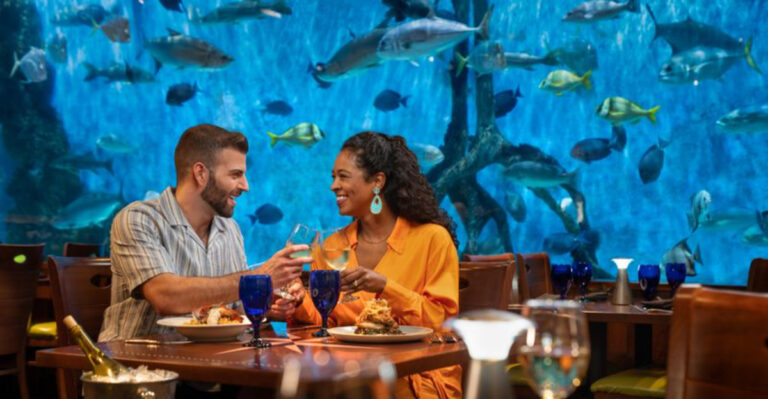 This Florida Underwater Dining Experience Feels Straight Out of a Fairytale