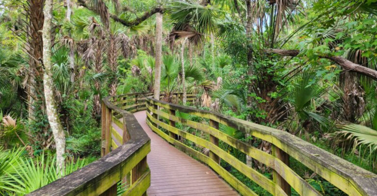This Hidden 7-Mile Boardwalk Near Orlando Has Jaw-Dropping Views