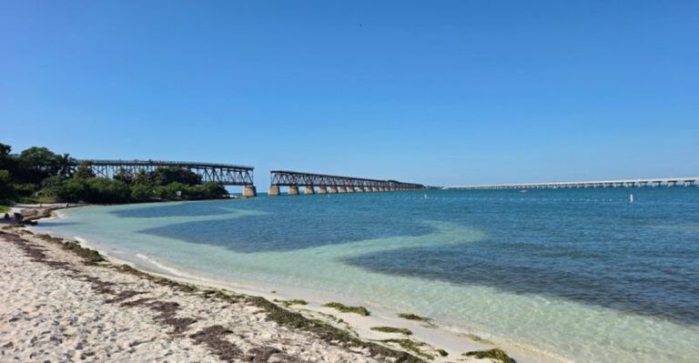 This Hidden Florida Keys Spot Has the Clearest Water You’ll Ever Swim In