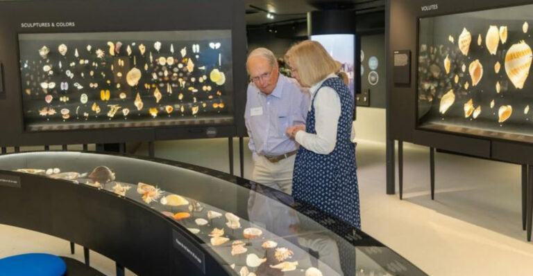 This Hidden Florida Museum Is Home To One Of The World’s Largest Shell Collections