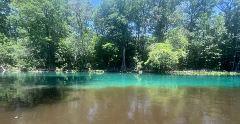 This Hidden Florida “Two-River” Meeting Point Feels Like a Secret