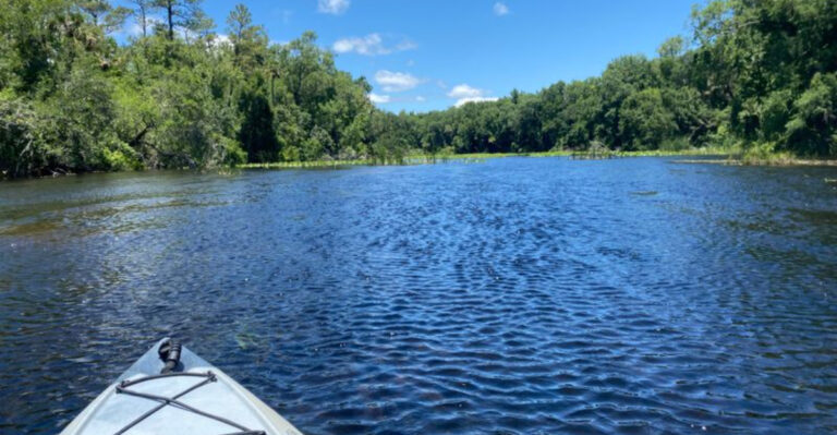 This Hidden Oasis in Ocala Might Be Florida’s Most Peaceful Escape