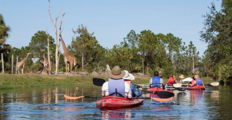 This Massive Florida Zoo Lets You Kayak Through Giraffe and Zebra Habitats