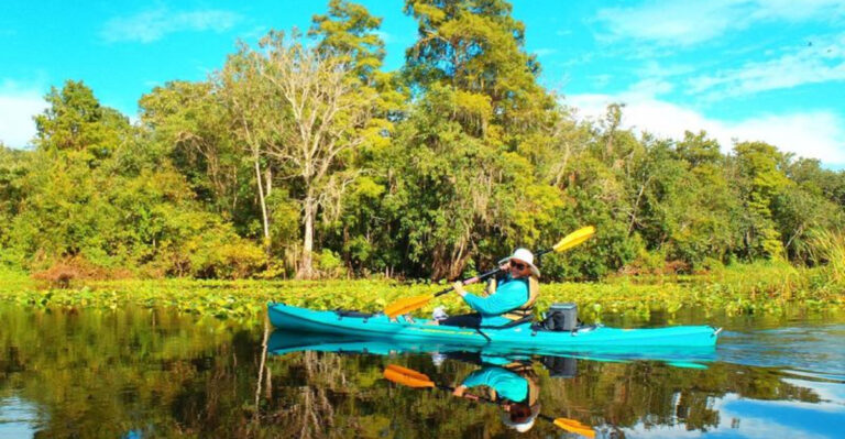 This River Near Orlando Is By Far The Prettiest Float Trip In Florida