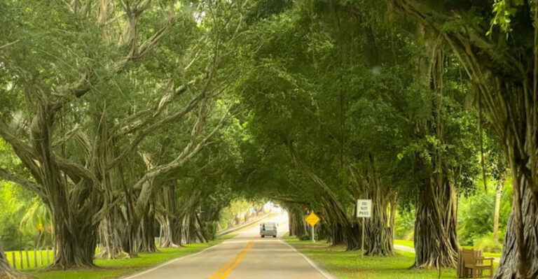 This Surreal Florida Scenic Drive Will Leave You Absolutely Speechless
