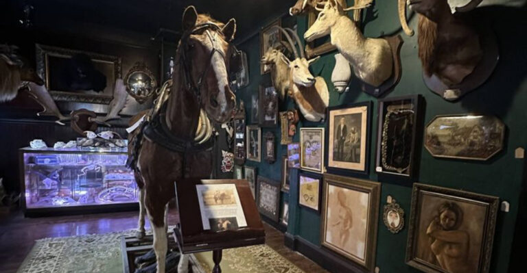 This Tiny Tampa Shop Is Packed With Creepy Curiosities And Seriously Cool Finds
