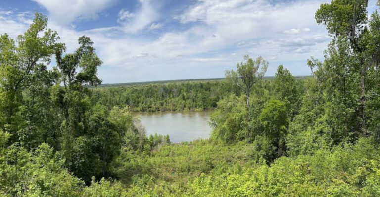 This Underrated Florida State Park Is One of the Prettiest in the State