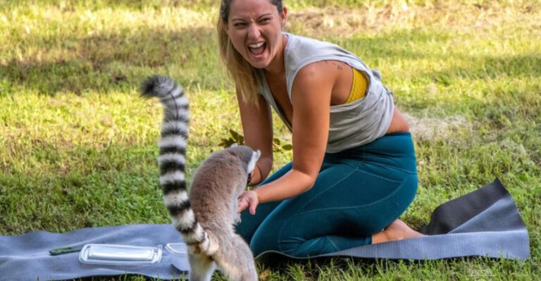 Tucked Away in Florida, This Animal Sanctuary Has a Lemur Experience You’ll Never Forget