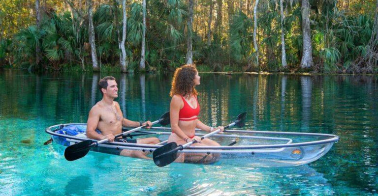 10 Most Beautiful Natural Water Spots in Florida for a Day Trip