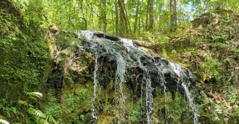 10 Secret Waterfalls in Florida You’ve Never Heard Of