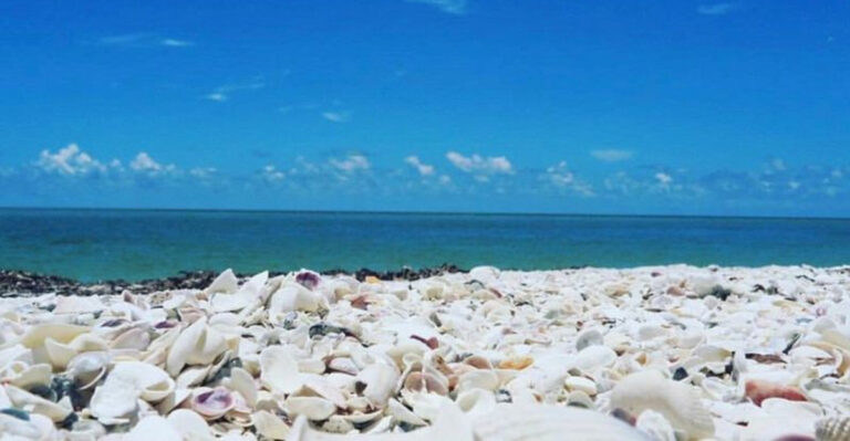 11 Florida Beaches Where Shells Pile Up by the Thousands