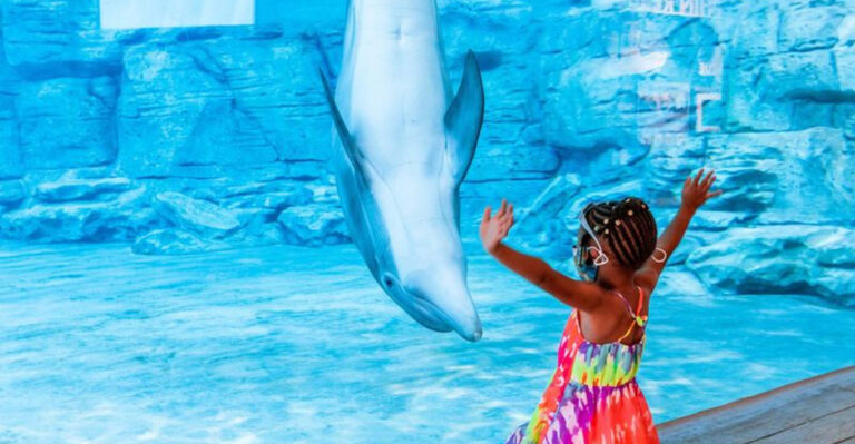 12 Fun Florida Attractions That Give Disney and Universal a Run for Their Money