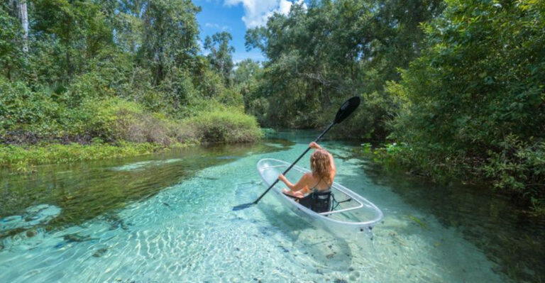 14 Enchanting Florida Springs That Feel Straight Out of a Dream