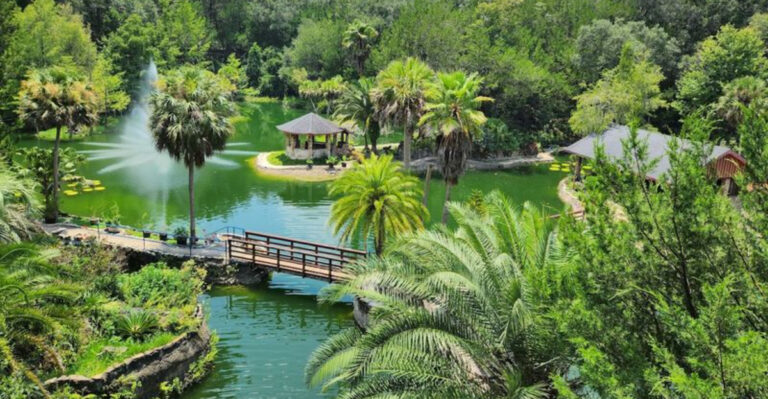 14 Hidden Gems in Florida You’ll Wish You Knew About Sooner