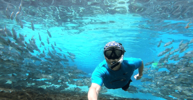 15 Best Places for Snorkeling in Florida That Are Totally Worth the Trip
