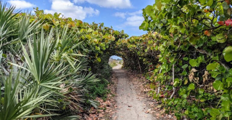 15 Florida Spots to Add to Your 2026 List If You Think You’ve Seen It All