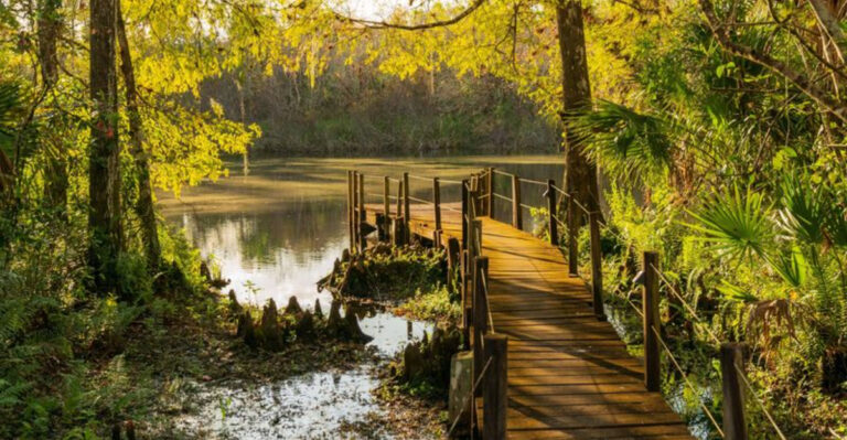 15 Most Beautiful State Parks in Florida, Ranked