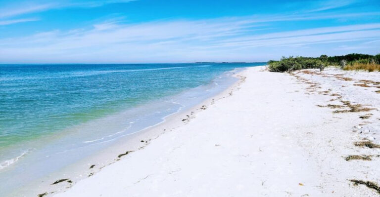 7 Florida Beaches With Sand So White They Almost Don’t Look Real