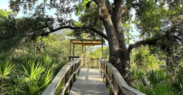 7 Scenic Boardwalks In Florida You’ll Want To See