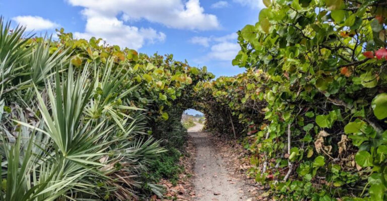 8 Florida Hiking Trails That Are Worth Doing at Least Once