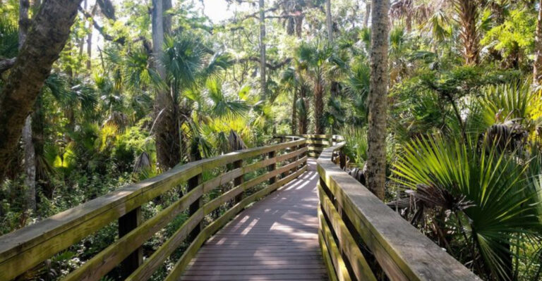 8 Short Florida Trails With Surprisingly Incredible Views