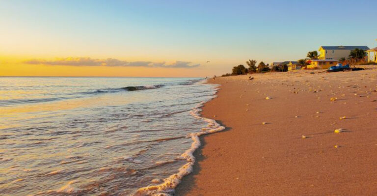 A Surprisingly Peaceful Florida Getaway Is Hiding Just a Short Drive From Tampa