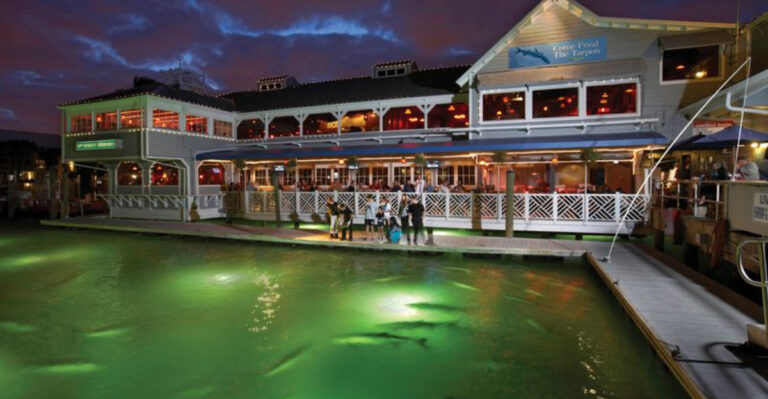 At This Fort Lauderdale Seafood Spot, You Can Feed Giant Tarpon Right From Your Table