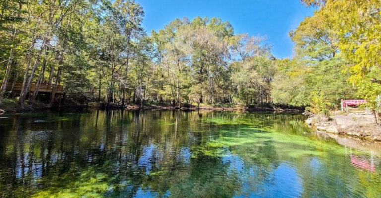 Discover Florida’s Tranquil 72-Degree Spring That Stays Peaceful Year-Round