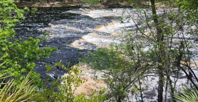 Florida Has Its Own Whitewater Rapids and Almost No One Knows They’re There