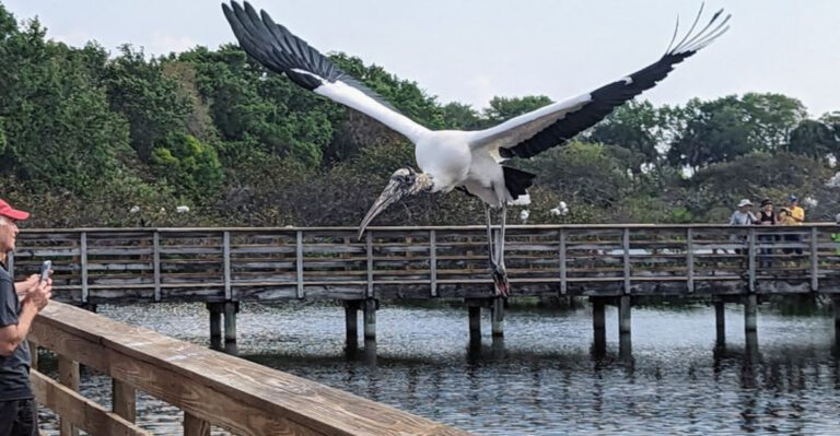 Florida’s Strangest Bird Sanctuary Is Actually A Reclaimed Wastewater Site