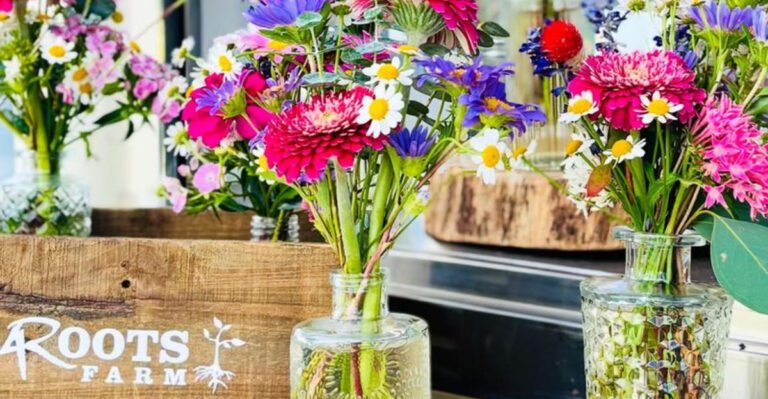 Flower Festivals Are Blooming Across Florida This Spring — Here Are 5 You Can Visit