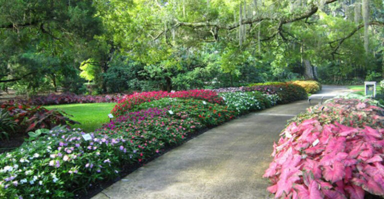 Flower Season Is Blooming In Florida — Here Are 7 Stunning Gardens You Need To Visit