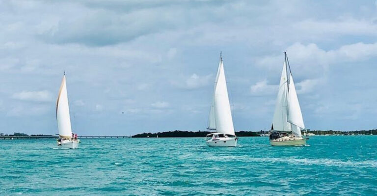 Glide Across Biscayne Bay on This Miami Sailing Experience With Incredible Skyline Views