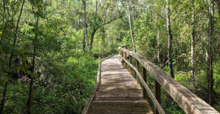 Most Florida Locals Have Never Been to These 12 Stunning Spots