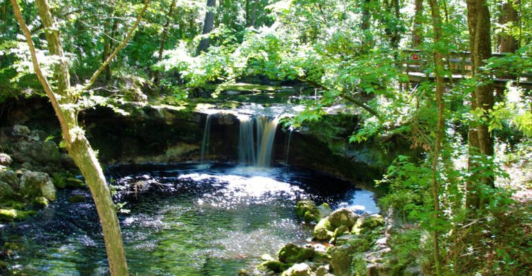 Most People Don’t Know They Can Drive Up To This Stunning Florida Waterfall