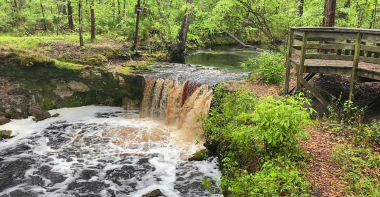 Most People Don’t Realize These 7 Beautiful Waterfalls Are Hiding in Florida