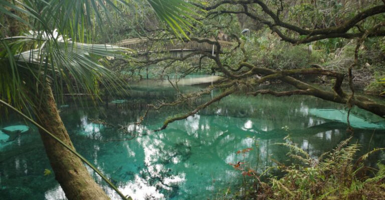 Most People Have No Idea This Secluded Florida Spring Looks Straight Out of the Caribbean