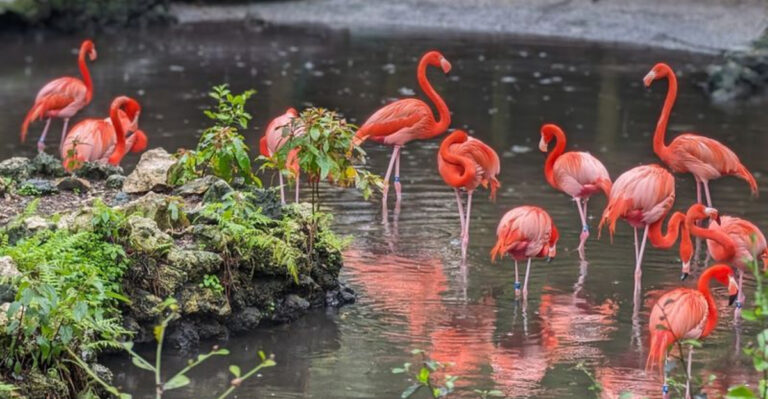 These 7 Florida Wildlife Parks Let You See Manatees, Birds, and More Up Close