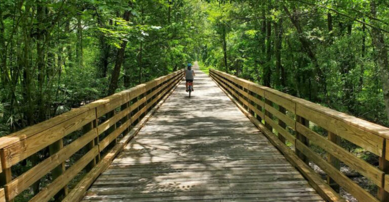 This 16-Mile Florida Bike Trail Follows An Old Railroad Past A Prairie With Wild Horses And Bison